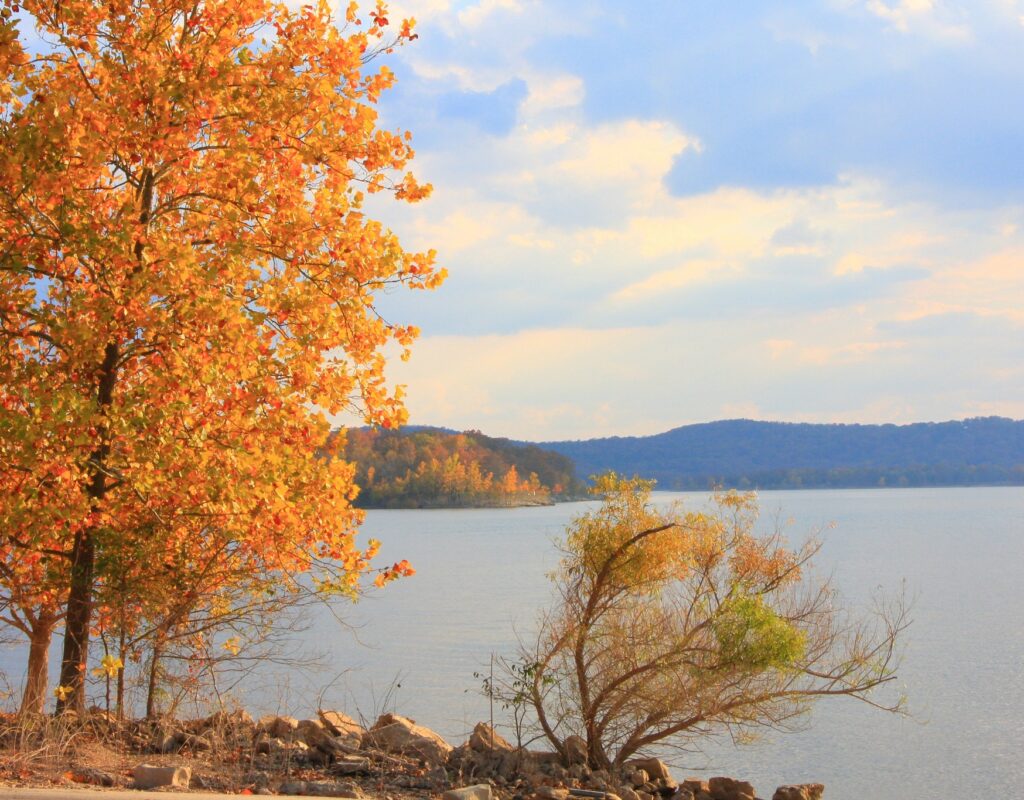 Orange fall tree on a rocky lakeshore near Branson with wooded hills across the water in autumn color