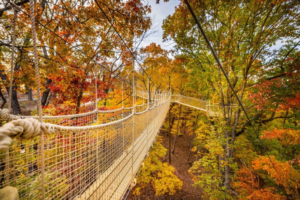 Rope suspension bridge winding through red, orange and gold fall treetops on an elevated forest walkway