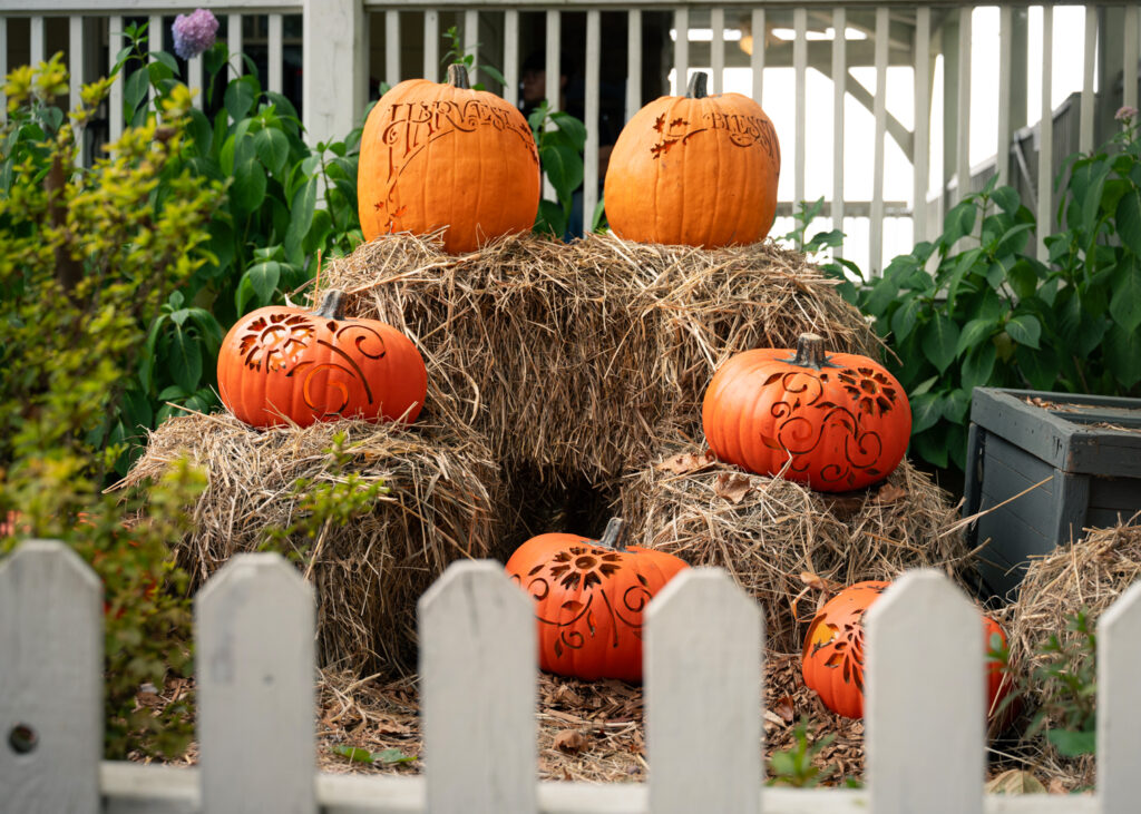 Carved pumpkins stacked on hay bales beside a white picket fence at a fall harvest display