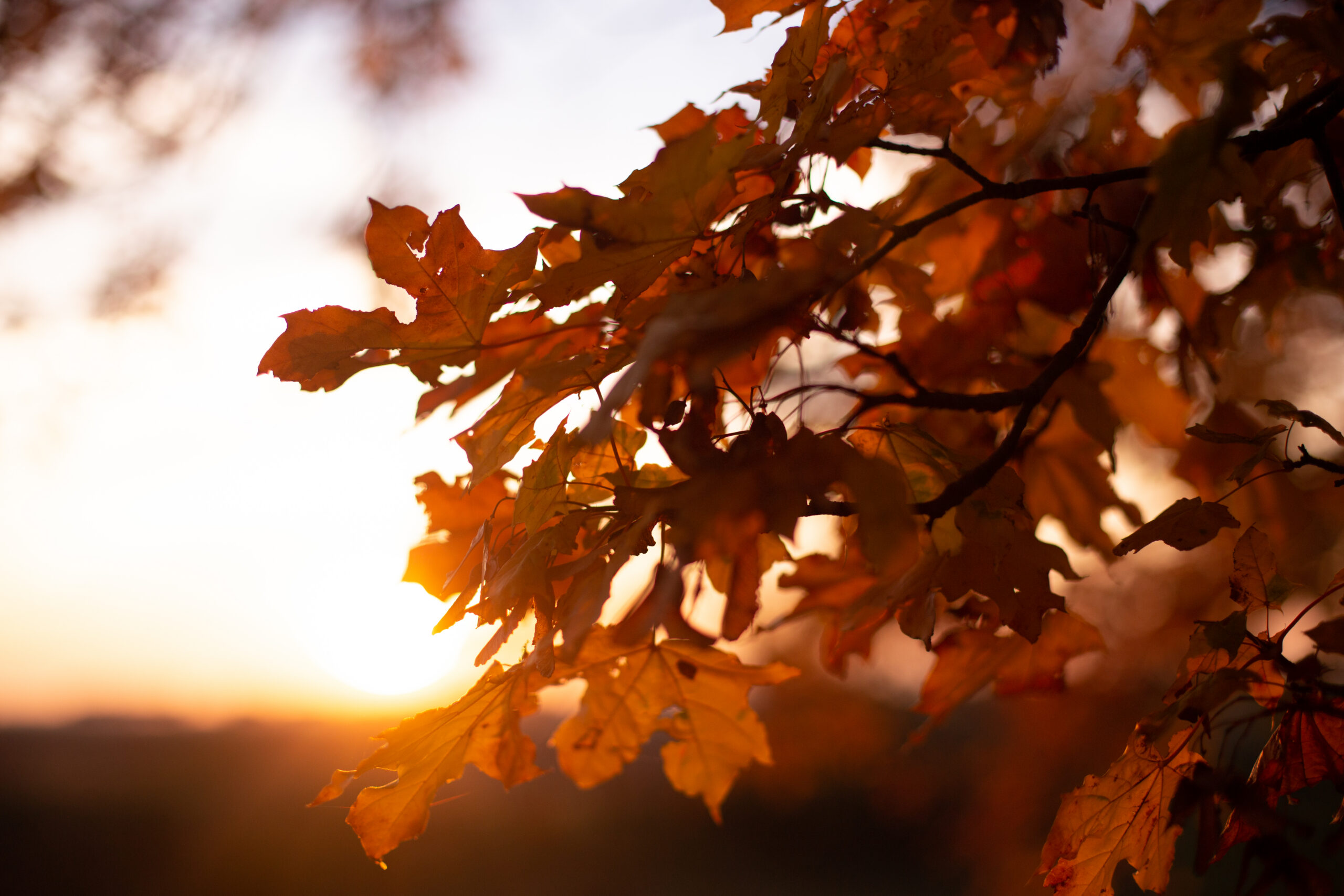 Fall sunset over Table Rock Lake in Branson Missouri viewed from a west-facing overlook in mid-October