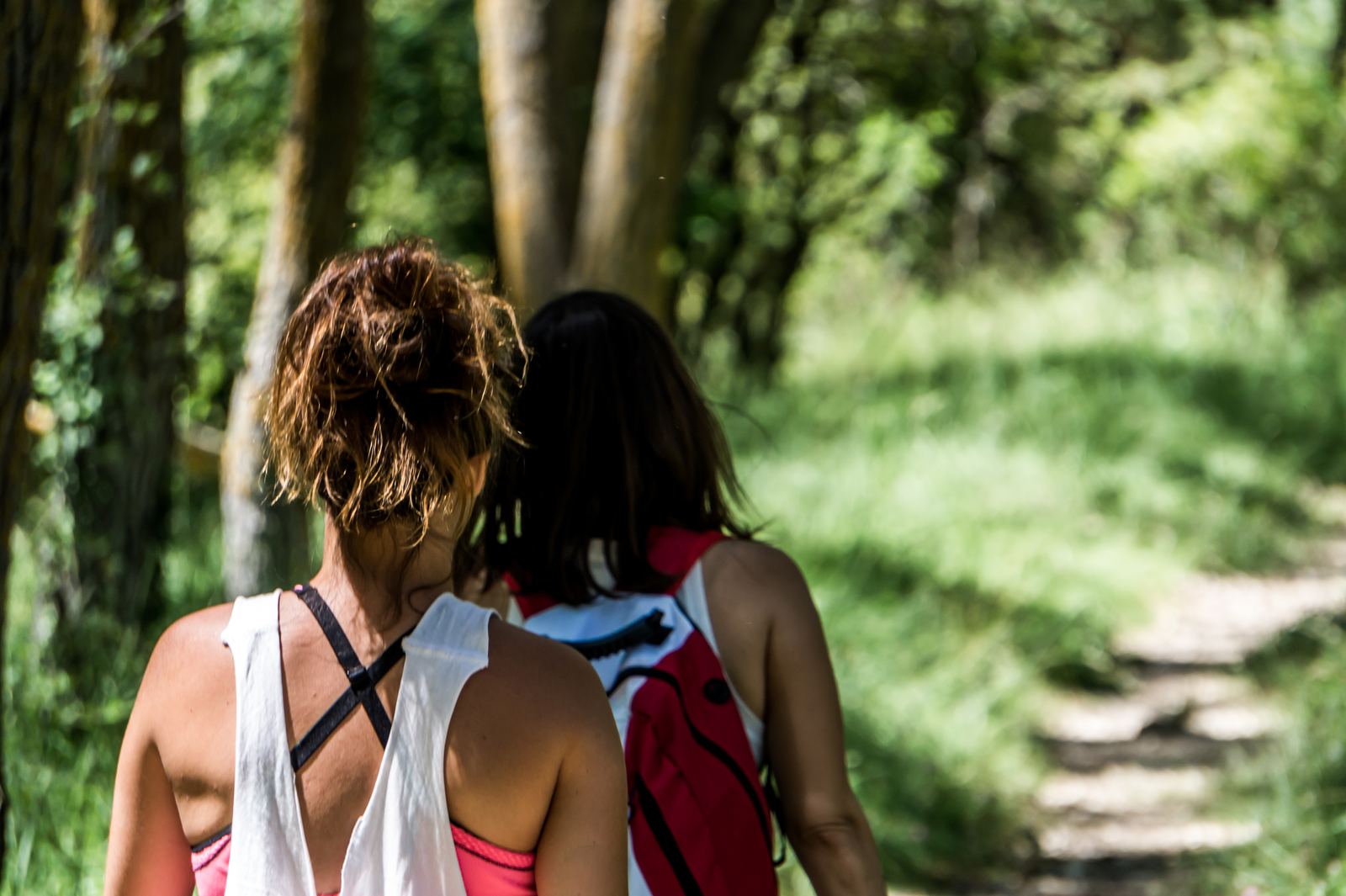 Hikers and their dog pausing on a wooded trail near Table Rock Lake outside Branson, Missouri